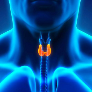 Лечение коллоидной кисты щитовидной железы в Израиле